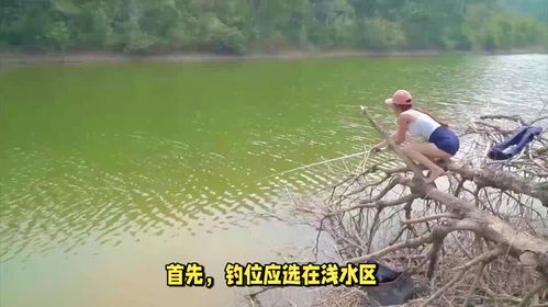 塘水塘的塘怎么组词 塘水塘的塘怎么组词