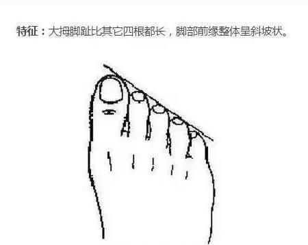 脚趾的趾怎么组词