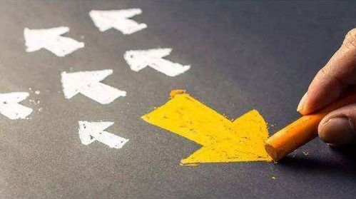 规矩的聚可以怎么组词