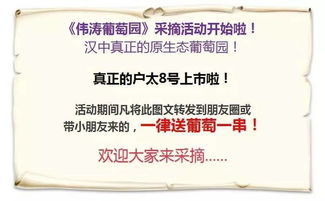 葡萄涛怎么组词