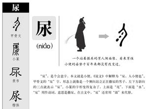 尿怎么组词 尿怎么组词