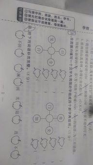 见开头怎么组词语