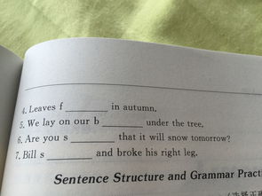 钱甲怎么组词 钱甲怎么组词