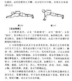 手臂臂膀的臂怎么组词