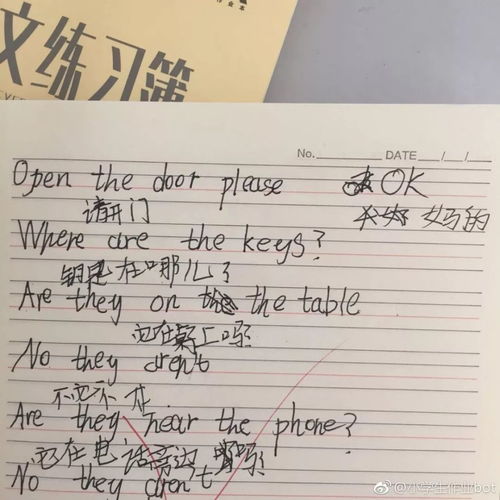 笨猪的拼音怎么组词