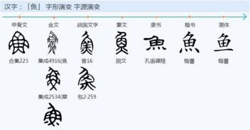 鱼怎么拼组词