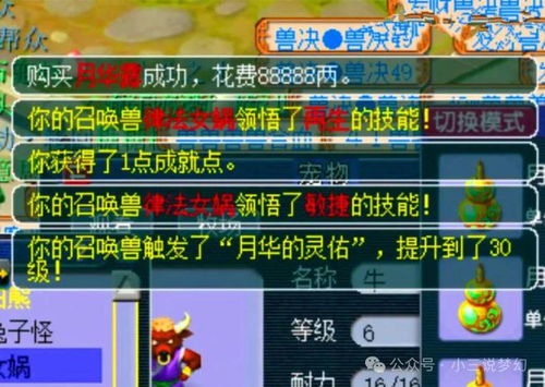 小奇的奇怎么组词