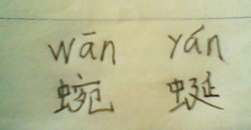 蜿蜒的蜿怎么组词 蜿蜒的蜿怎么组词