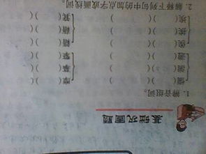 辨该怎么组词