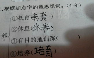 主意的意字怎么组词 主意的意字怎么组词