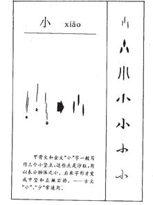 畏的拼音怎么组词和部首