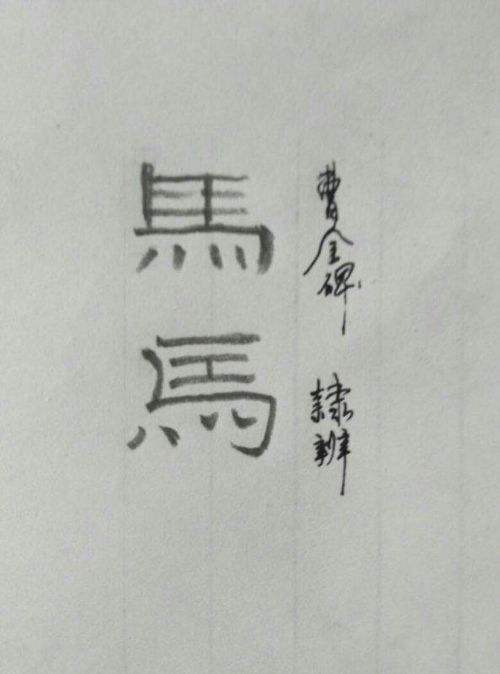 马字怎么写怎么组词