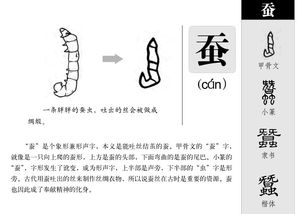 蚕怎么组词怎么写