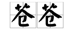 殃的组词是什么
