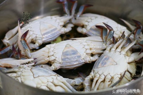 螃蟹的螃怎么组词
