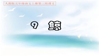 鲸的组词 鲸的组词