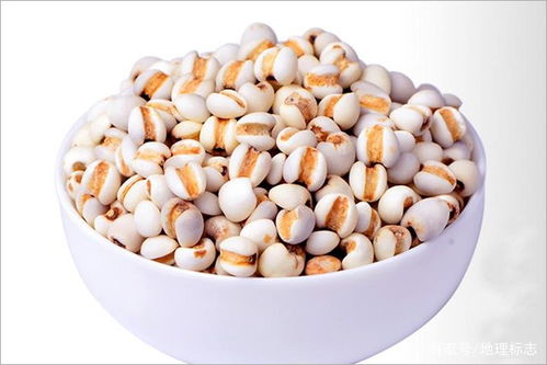 薏仁米的e怎么组词