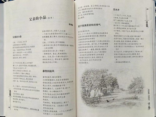 诗怎么吃怎么组词 诗怎么吃怎么组词