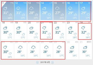 停起来的挺怎么组词
