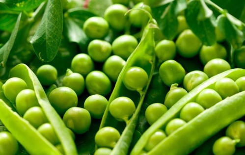 豌豆豆弯怎么组词