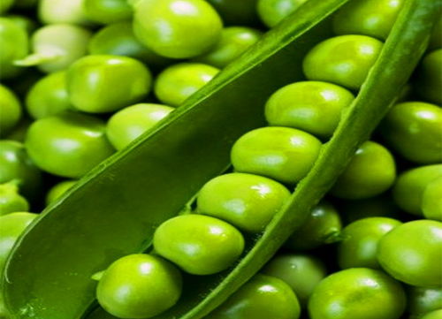 豌豆豆弯怎么组词