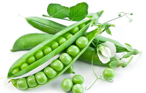 豌豆豆弯怎么组词