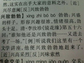 兴致勃勃的可以怎么组词