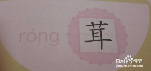 毛茸茸的的绒怎么组词