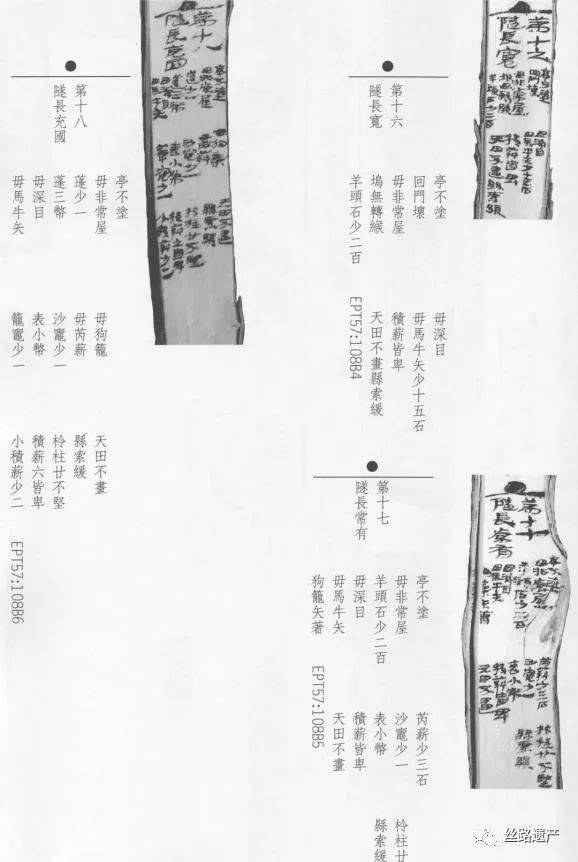 笼有几画怎么组词