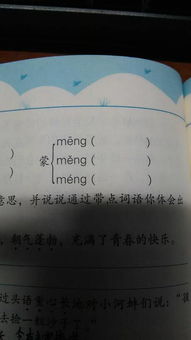 薅怎么读组词 薅怎么读组词