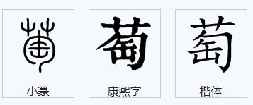 葡萄又怎么又怎么组词 葡萄又怎么又怎么组词