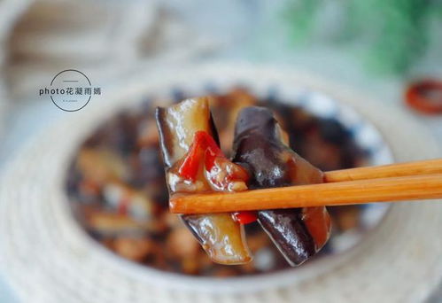 茄子加入怎么组词 茄子加入怎么组词