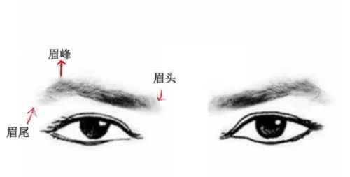 眉毛的眉怎么组词