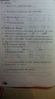 怎么用骄组词