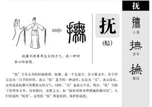 慰怎么组词怎么读 慰怎么组词怎么读