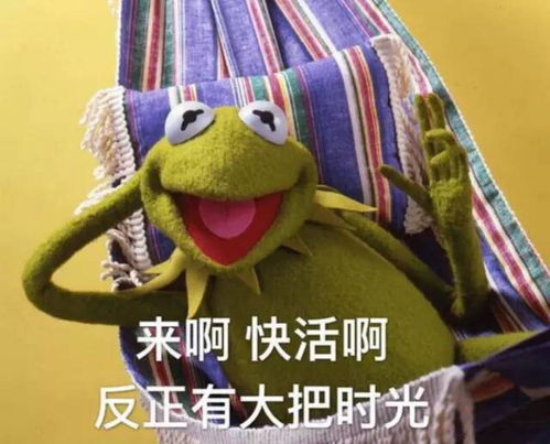 笨拙的卓可以怎么组词