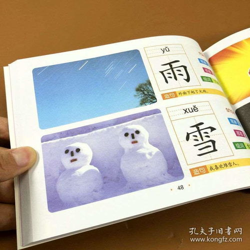 画怎么组词并造句
