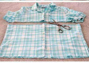 旧围裙的旧该怎么组词