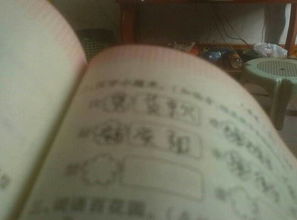 撒禁怎么组词 撒禁怎么组词