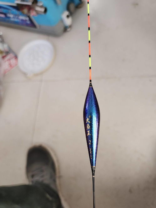 鱼竿的竿怎么组词