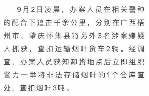 追击追追怎么组词