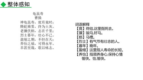 若怎么霸气的组词