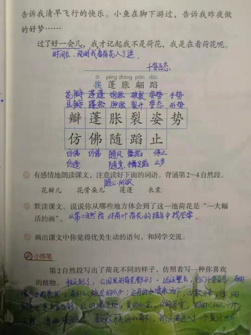 蓬瓣怎么组词