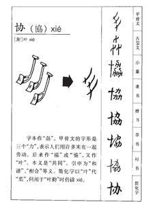 协的组词和拼音怎么