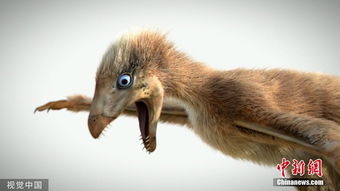 恐龙的绒绒怎么组词 恐龙的绒绒怎么组词