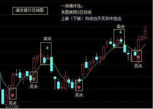 这辈子怎么组词