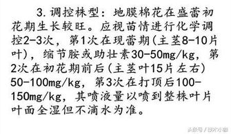 gai盖子的盖怎么组词