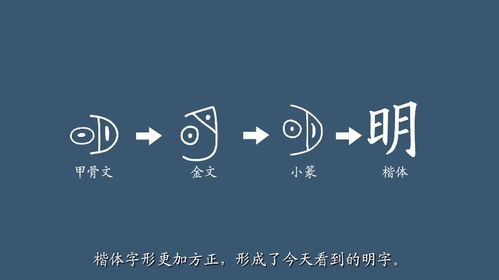 明怎么组词