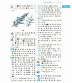 最佳搭配怎么组词造句 最佳搭配怎么组词造句