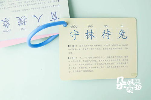 籽在前面怎么组词呢